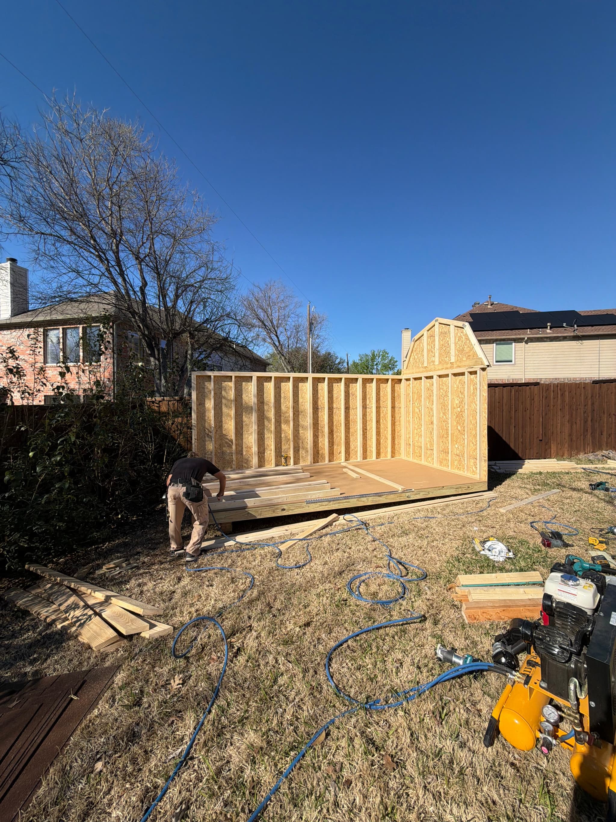 Side view of partially framed shed showing roof rafters going up between two backyard fences.